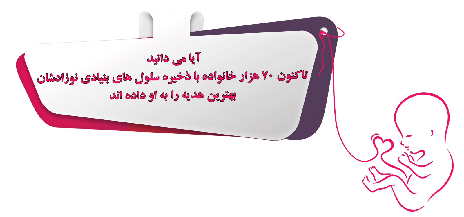 سلول های بنیادی