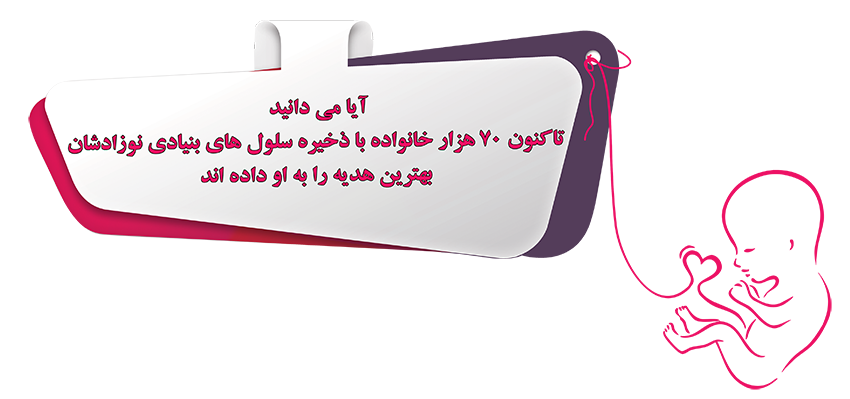 سلول های بنیادی